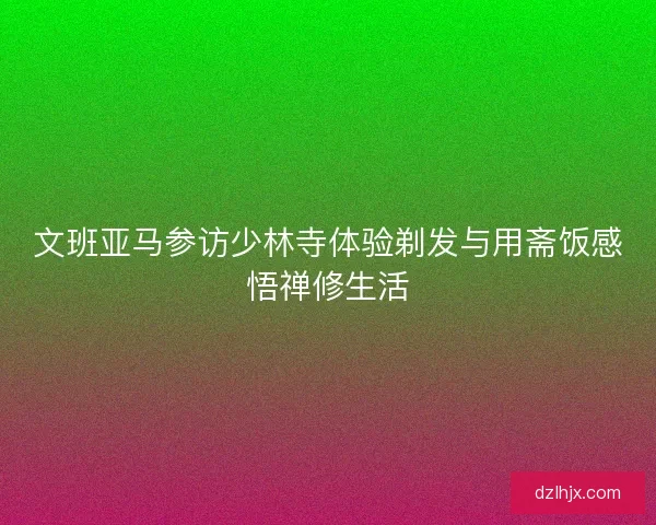 文班亚马参访少林寺体验剃发与用斋饭感悟禅修生活