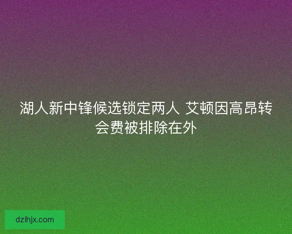 湖人新中锋候选锁定两人 艾顿因高昂转会费被排除在外