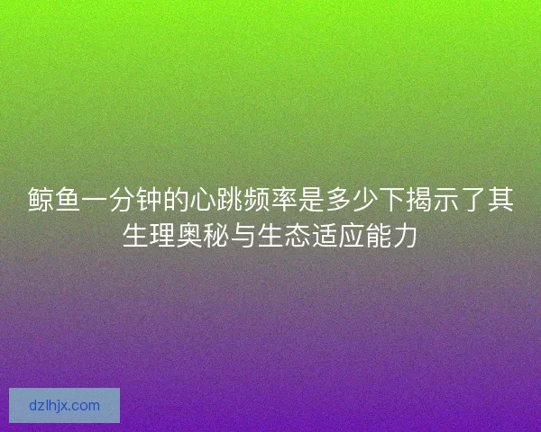 鲸鱼一分钟的心跳频率是多少下揭示了其生理奥秘与生态适应能力