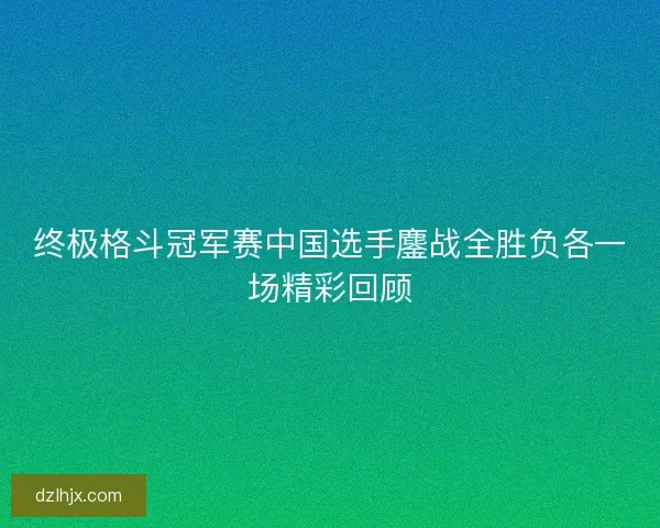 终极格斗冠军赛中国选手鏖战全胜负各一场精彩回顾 终极格斗冠军赛中国选手鏖战全胜负各一场精彩回顾